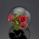 Hydroponic Plants Hanging Ball Shape Glass Vase Home Garden Decor