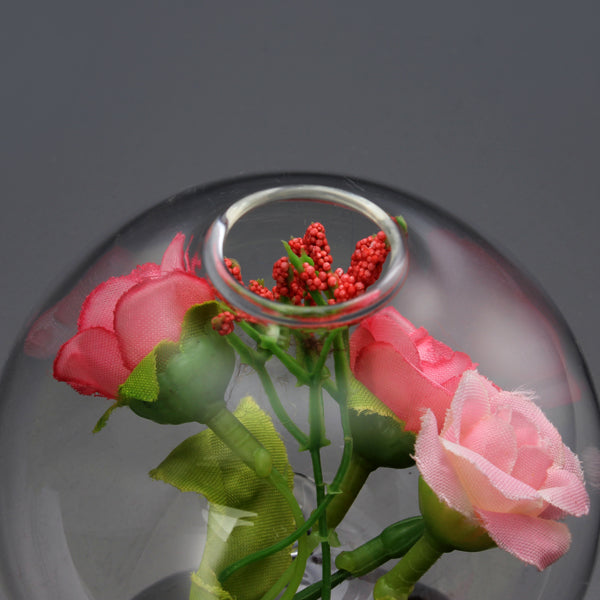 Hydroponic Plants Hanging Ball Shape Glass Vase Home Garden Decor