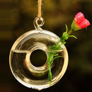 Round Hanging Flower Hydroponic Plants Glass Vase Home Decor