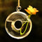 Round Hanging Flower Hydroponic Plants Glass Vase Home Decor