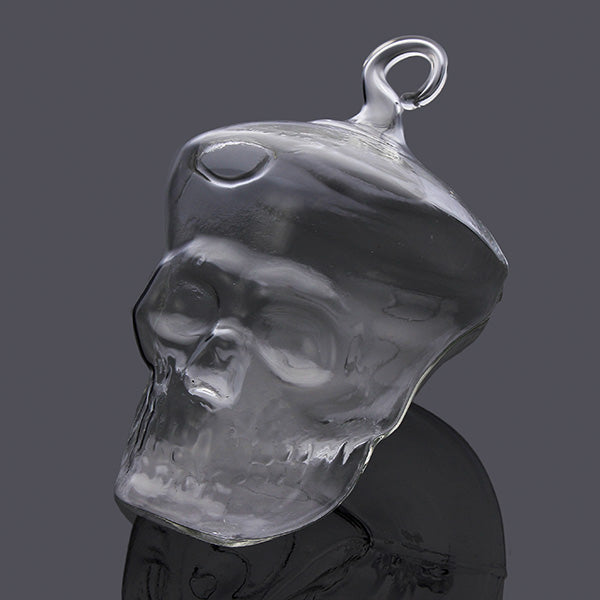 Hydroponic Plants Garden Flower Pot Skull Shape Hanging Glass Vase
