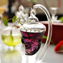Hydroponic Plants Garden Flower Pot Skull Shape Hanging Glass Vase