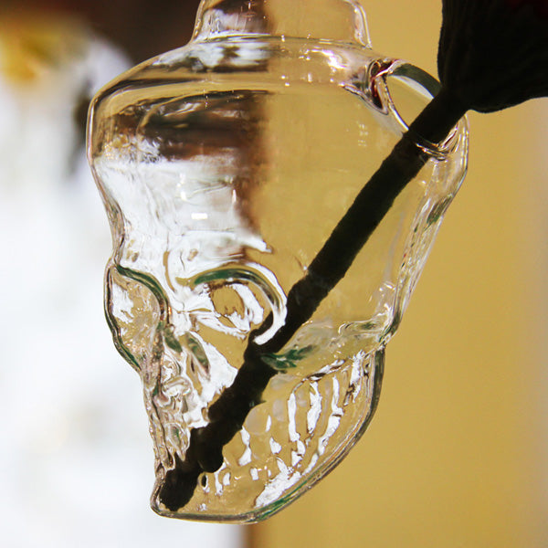 Hydroponic Plants Garden Flower Pot Skull Shape Hanging Glass Vase