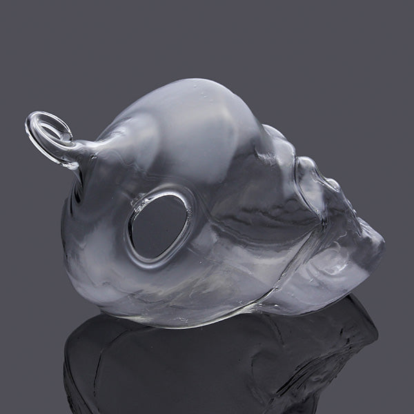 Hydroponic Plants Garden Flower Pot Skull Shape Hanging Glass Vase