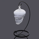 Hydroponic Plants Garden Flower Pot Skull Shape Hanging Glass Vase