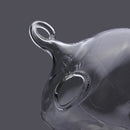 Hydroponic Plants Garden Flower Pot Skull Shape Hanging Glass Vase