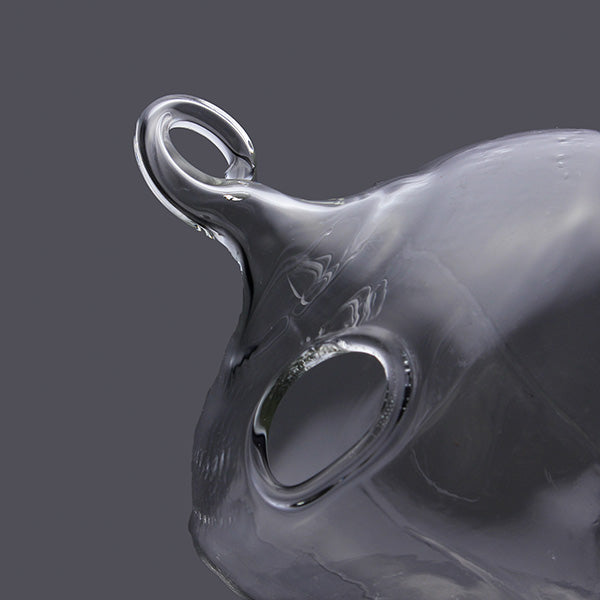 Hydroponic Plants Garden Flower Pot Skull Shape Hanging Glass Vase