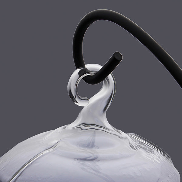 Hydroponic Plants Garden Flower Pot Skull Shape Hanging Glass Vase