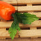 5Pcs Fake Fruit Red Artificial Carrot Kitchen Cabinet Decor Learning Photography Props