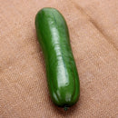Simulation Cucumber Fake Foam Vegetable Cucumber Mould Home Decorating Prop