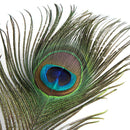 LS806-G Peacock Feather Pen Quill Dip Pen Gift Set