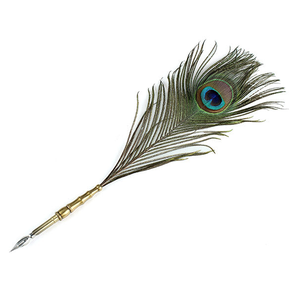 LS806-G Peacock Feather Pen Quill Dip Pen Gift Set