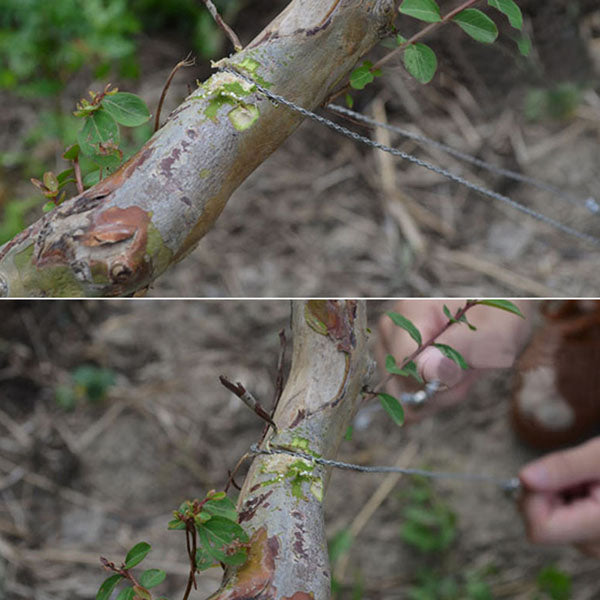 Garden Hand Steel Trimming Saw Outdoor Portable Survival Chain Saw