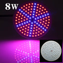 8W E27 Garden Plant Growth LED Bulb Greenhouse Plant Seedling Light