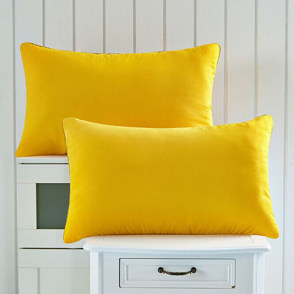 46X72cm Super Soft Microfiber Pillow With High Elastic Pillow Core Health Care Throw Pillow