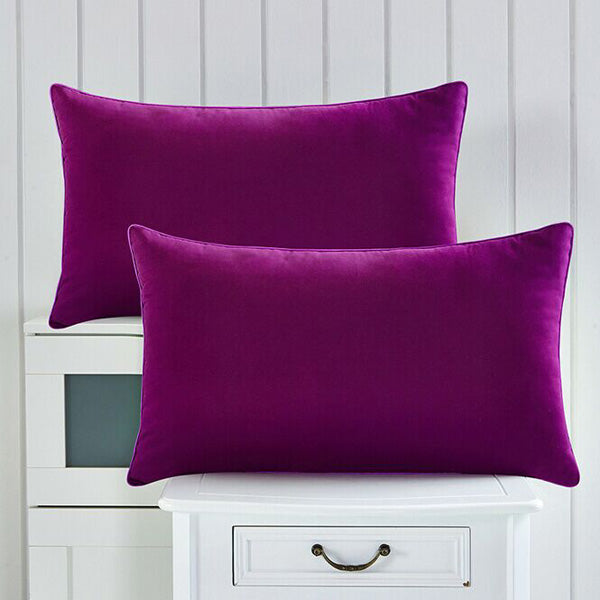 46X72cm Super Soft Microfiber Pillow With High Elastic Pillow Core Health Care Throw Pillow
