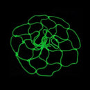1x Glow In The Dark Light Powered Basketball Hoop Net Luminous Shoot Fashion