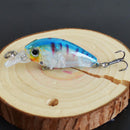 5pcs Lifelike Bionic Bait Minnow Wobbler Plastic Hard Crank Fishing Lure w/ Box