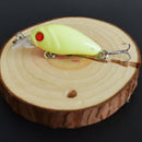 5pcs Lifelike Bionic Bait Minnow Wobbler Plastic Hard Crank Fishing Lure w/ Box