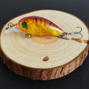 5pcs Lifelike Bionic Bait Minnow Wobbler Plastic Hard Crank Fishing Lure w/ Box