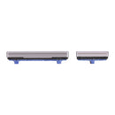 Power Button and Volume Control Button for Samsung Galaxy Note20 Ultra (Grey)