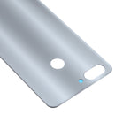Glass Battery Back Cover for ZTE Blade V9(Silver)