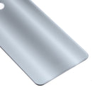 Glass Battery Back Cover for ZTE Blade V9(Silver)