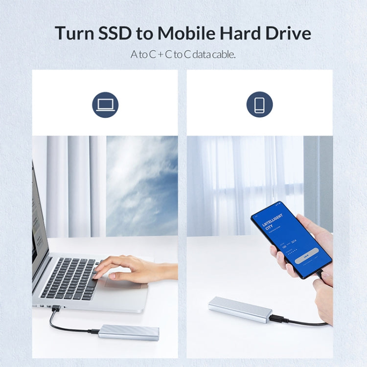 ORICO M2PJ NVME M.2 SSD Enclosure(Silver)