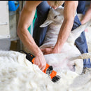 220V 680W Electric Sheep Shearing Clipper Scissors Shears Cutter Goat Horse Clipper Machine 6 Gears Speed 13 Teeth Blade