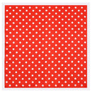Spring Ladies Dots Pattern Silk ImitationSmall Scarf Square Scarf, Size:60 x 60cm(Red White Border)