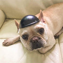 Pet Hat Dog Cat Accessories, Size:S