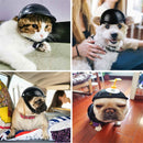 Pet Hat Dog Cat Accessories, Size:M