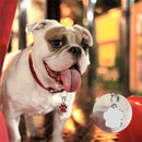10 PCS Enamel Cat Dog Bear Paw Prints Key Chain Jewelry Making(Orange)