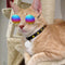 Multicolored Eye-wear Pet Cat Dog Fashion Sunglasses UV Sun Glasses Eye Protection(Black)