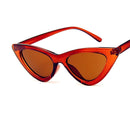 Sexy Ladies Cat Eye Sunglasses Women Vintage Sun Glasses(Brown)