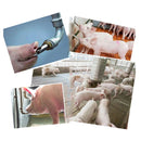 Duckbill Drinking Fountain Stainless Steel with Copper Cap Oblique Pig Mouth Livestock Machinery Pig Raising Equipment