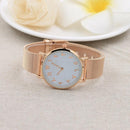 Arabic Digital Stainless Steel Mesh Strap Watch for Men / Women(Rose Gold)