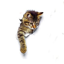 10 PCS Removable Waterproof Cartoon 3 D Cat Pattern Wall Sticker Bathroom Toilet Sticker(C)