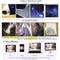 1.5m x 2.1m Woods Scenery 3D Photo Photography Background Cloth