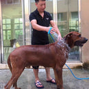Pet Shower Brush Dog Shower Bath Shower Nozzle Brush