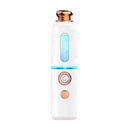 Facial Steamer Nano Spray Water Replenishing Instrument Portable Cold Spray Machine Charging Beauty Instrument Automatic Alcohol Sprayer, Style:Crown(White)