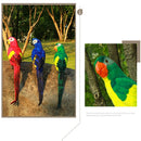 45CM Simulation Parrot Simulation Bird Macaw Foam Feather Parrot Sen Gardening Decoration, Color:Blue