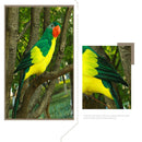 45CM Simulation Parrot Simulation Bird Macaw Foam Feather Parrot Sen Gardening Decoration, Color:Blue