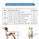 Pet Wheelchair Disabled Dog Old Dog Cat Assisted Walk Car Hind Leg Exercise Car For Dog/Cat Care, Size:S