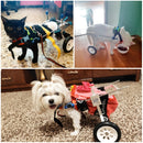 Pet Wheelchair Disabled Dog Old Dog Cat Assisted Walk Car Hind Leg Exercise Car For Dog/Cat Care, Size:L