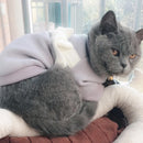 Autumn and Winter Knit Bow Sweater Bottoming Shirt Two Feet Pet Clothes, Size: S(Grey)