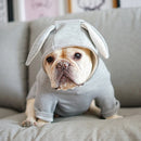 Comfortable Fashion Lovely Rabbit Ear Dog Teddy Pet Cat Sweatshirt, Size: XS(Gray)