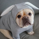 Comfortable Fashion Lovely Rabbit Ear Dog Teddy Pet Cat Sweatshirt, Size: XXL(Gray)