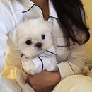 Dog Clothes Pet Pajamas Dog simulation Silk Pajamas, Size:S(White)