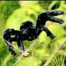 2 PCS Creative Halloween Party Black Plush Spider Decoration, Size:30cm